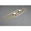 ALBANY Suspension Luminaires Trio LED Noir doré, 1 lumière, Télécommandes