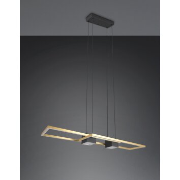 ALBANY Suspension Luminaires Trio LED Noir doré, 1 lumière, Télécommandes