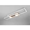 ALBANY Plafonnier Luminaires Trio LED Brun, 1 lumière, Télécommandes