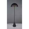 Alfie Lampadaire Luminaires Trio Noir, 1 lumière