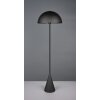 Alfie Lampadaire Luminaires Trio Noir, 1 lumière