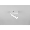 Ambala Spot de plafond Luminaires Trio LED Blanc, 1 lumière