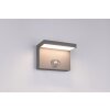 Blyde Applique murale Luminaires Trio LED Anthracite, 1 lumière, Détecteur de mouvement