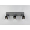 Cadiz Spot de plafond Luminaires Reality Anthracite, 3 lumières