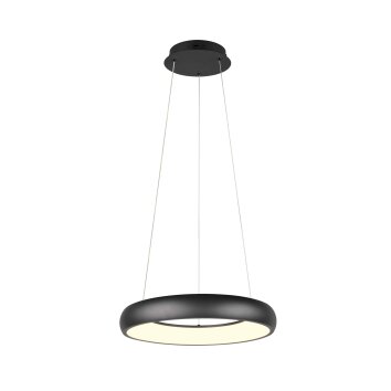 Cardona Suspension Luminaires Trio LED Noir, 1 lumière