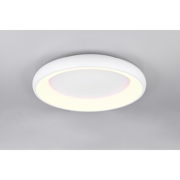 Cardona Plafonnier Luminaires Trio LED Blanc, 1 lumière