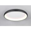 Cardona Plafonnier Luminaires Trio LED Noir, 1 lumière