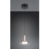 Celeste Suspension Luminaires Trio LED Noir, 1 lumière