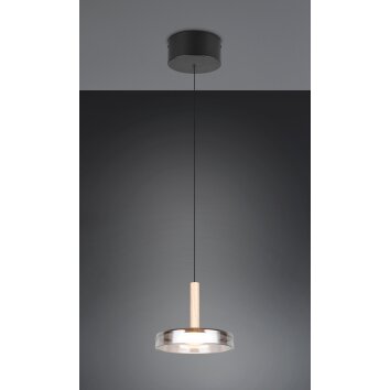 Celeste Suspension Luminaires Trio LED Noir, 1 lumière