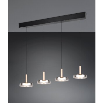 Celeste Suspension Luminaires Trio LED Noir, 1 lumière