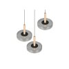 Celeste Suspension Luminaires Trio LED Noir, 1 lumière