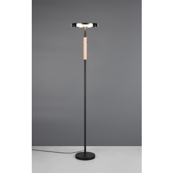 Celeste Lampadaire Luminaires Trio LED Noir, 1 lumière