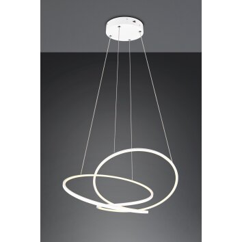 Darvin Suspension Luminaires Trio LED Blanc, 1 lumière