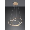 Darvin Suspension Luminaires Trio LED Or, 1 lumière