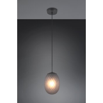 Facette Suspension Luminaires Trio Noir, 1 lumière