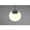 Fomento Suspension Luminaires Trio Noir, 1 lumière