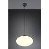 Fomento Suspension Luminaires Trio Noir, 1 lumière