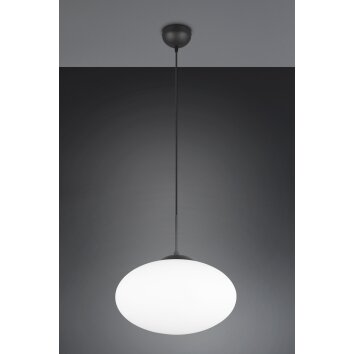 Fomento Suspension Luminaires Trio Noir, 1 lumière