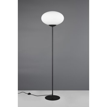 Fomento Lampadaire Luminaires Trio Noir, 1 lumière