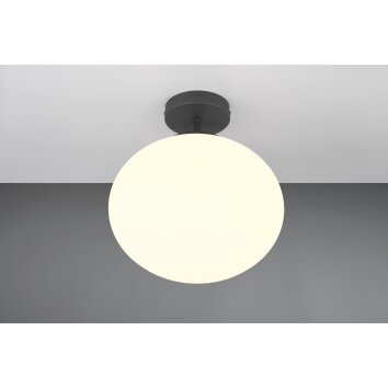 Fomento Plafonnier Luminaires Trio Noir, 1 lumière