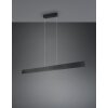 Galway Suspension Luminaires Trio LED Noir, 1 lumière