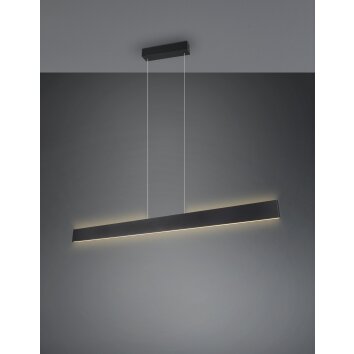 Galway Suspension Luminaires Trio LED Noir, 1 lumière