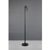 Gomez Lampadaire Luminaires Reality LED Noir, 1 lumière