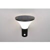 Gorda Applique murale Luminaires Reality LED Noir, 1 lumière, Détecteur de mouvement