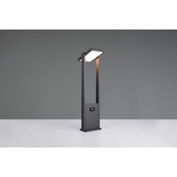 Malawi Lampadaire d\'extérieur Luminaires Trio LED Anthracite, 1 lumière, Détecteur de mouvement