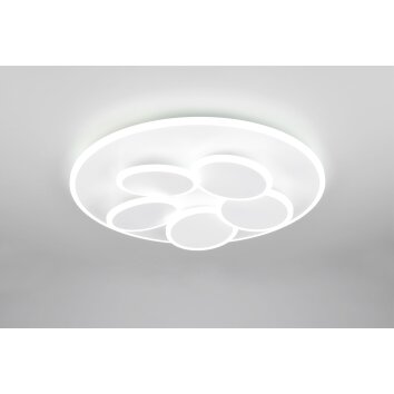 Mandala Plafonnier Luminaires Trio LED Blanc, 1 lumière, Télécommandes