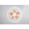 Mandala Plafonnier Luminaires Trio LED Gris, 1 lumière, Télécommandes