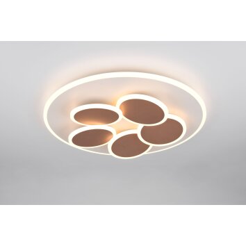 Mandala Plafonnier Luminaires Trio LED Gris, 1 lumière, Télécommandes