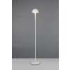 Mendorez Lampadaire Luminaires Reality LED Gris, 1 lumière