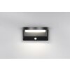 Moro Applique murale Luminaires Reality LED Noir, 1 lumière, Détecteur de mouvement