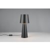 Nubian Lampe à poser Luminaires Trio Noir, 1 lumière