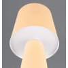 Nubian Lampe à poser Luminaires Trio Beige, 1 lumière