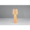 Nubian Lampe à poser Luminaires Trio Beige, 1 lumière