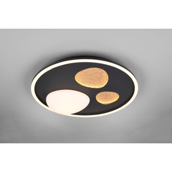 Pebble Plafonnier Luminaires Trio LED Noir, 1 lumière, Télécommandes