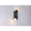 Raglan Applique murale Luminaires Trio LED Noir, 2 lumières