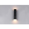 Raglan Applique murale Luminaires Trio LED Noir, 2 lumières