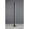 Seeker Lampadaire Luminaires Trio LED Noir, 1 lumière