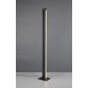 Seeker Lampadaire Luminaires Trio LED Noir, 1 lumière