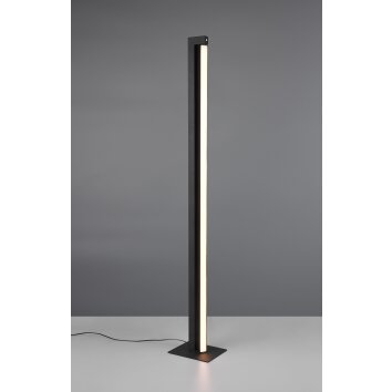 Seeker Lampadaire Luminaires Trio LED Noir, 1 lumière