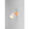 Shanti Spot de plafond Luminaires Trio Gris, 1 lumière