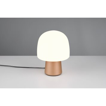 Lampe Champignon  Steen Lampe à poser Luminaires Trio Brun, 1 lumière