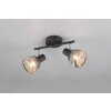 Tarifa Spot de plafond Luminaires Trio Noir, 2 lumières