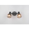 Tarifa Spot de plafond Luminaires Trio Noir, 2 lumières