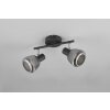 Tarifa Spot de plafond Luminaires Trio Noir, 2 lumières