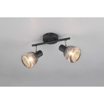 Tarifa Spot de plafond Luminaires Trio Noir, 2 lumières