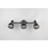 Tarifa Spot de plafond Luminaires Trio Noir, 3 lumières